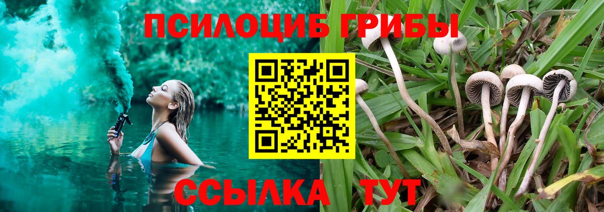 Галлюциногенные грибы GOLDEN TEACHER Аргун
