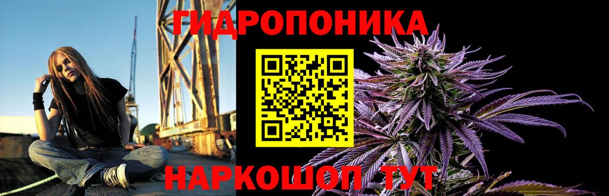 Конопля план Аргун